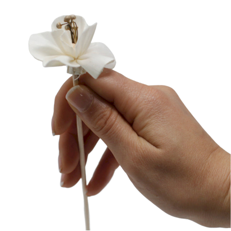 Natuurlijke Diffuser Bloemen – Sola Hout